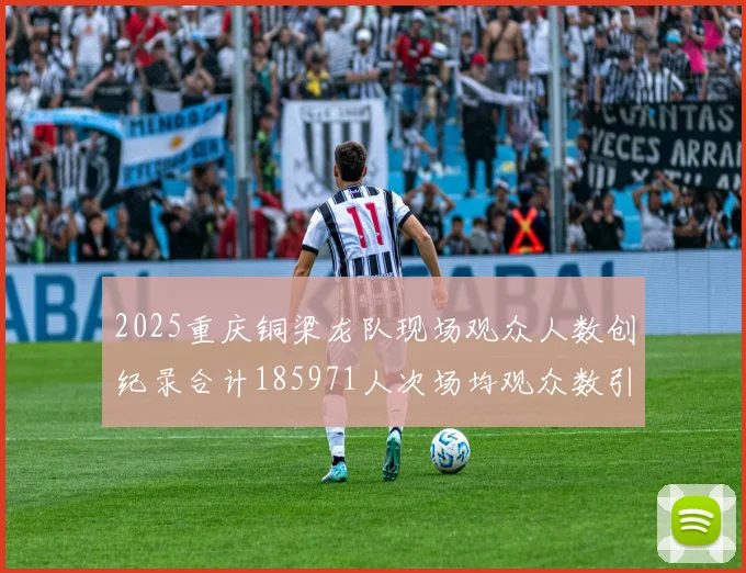 2025重庆铜梁龙队现场观众人数创纪录合计185971人次场均观众数引发热议