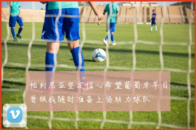 帕利尼亚坚定信心希望葡萄牙早日晋级我随时准备上场助力球队